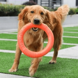 Dog Ring Toy (pack_case_count: 1)