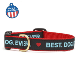 Best Dog Ever Collar or Leash (Color: Best Dog Ever)