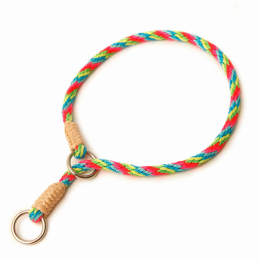 Alvalley Nylon Slip Collars (size: 26 in x 1/2in or 13mm)