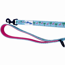 Cutie Ties Fun Design Dog Leash (size: large)