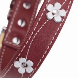 Lucy Dog Collar (Red, Pink) (size: medium)