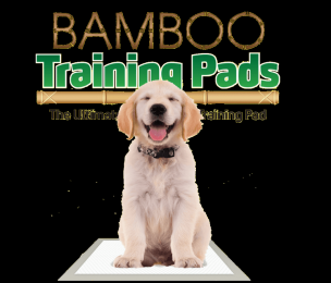 Bamboo Training Pads (pack_case_count: 1)