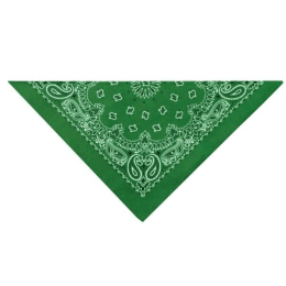 TP Paisley Bandana (pack_case_count: 1)