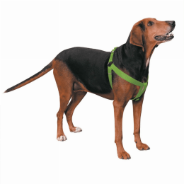 CC Nylon 2 Step Harness (size: 25-40in)
