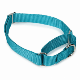 GG Nylon Martingale Collar (size: 10-16in)