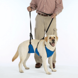 GG Lift & Lead 4in1 (size: large)