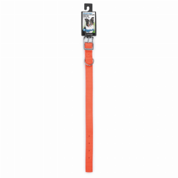 DGR 1in Nylon Collar (size: 22in)
