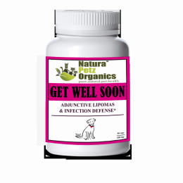 Get Well Soon - Adjunctive Lipoma + Infection Defense* (pack_case_count: 1)