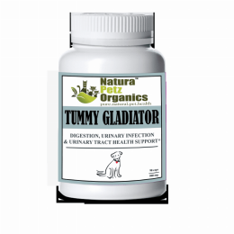 Tummy Gladiator - Digestion, Adjunctive Reflux & Urinary Tract Support* (pack_case_count: 1)