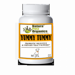Probiotic Digestive, Bladder & Urinary Tract Support* (pack_case_count: 1)