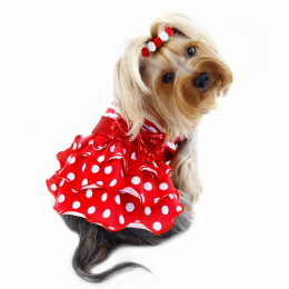 Sparkling Bow Ruffle Layered Dress (pack_case_count: 1)