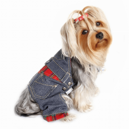 Adorable Stripy Denim Overall (size: XS)
