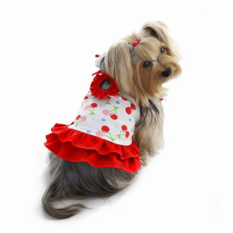 Soft Knit Cotton Cherries Dress with Shoulder Ties (pack_case_count: 1)