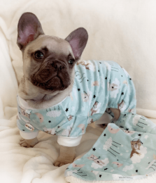Ultra Soft Plush Minky Bedtime Bears Pajamas (size: XL)