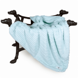 Paris Dog Blanket (size: small)