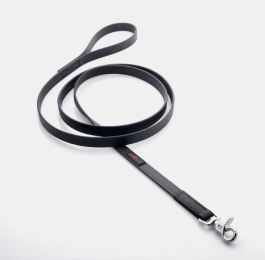Boss Regular Leash (size: 3/4"x4')