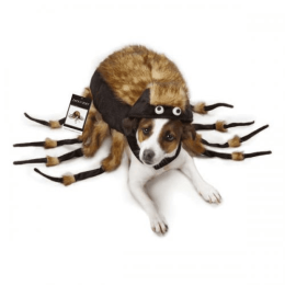 ZZ Fuzzy Tarantula Costume (size: Xsmall)