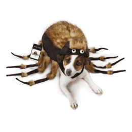 ZZ Fuzzy Tarantula Costume (size: small)