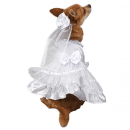 East Side Coll Yappily Ever After Wedding Dress (size: small)