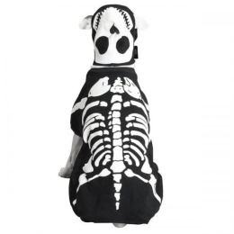 Casual Canine Glow Bones Custom (pack_case_count: 1)