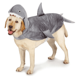 CC Shark Costume (pack_case_count: 1)