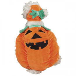Zack & Zoey Pumpkin Pooch Costume (size: medium)