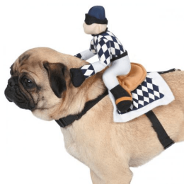 ZZ Show Jockey Saddle Costume (pack_case_count: 1)