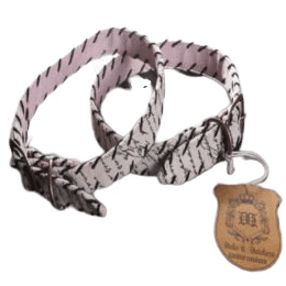 Love Letters - Leather Dog Collar (size: M)