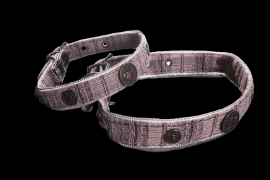 Royal Academy Collar (size: XS)