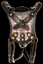 Royal Academy Dog Harness (size: XS)