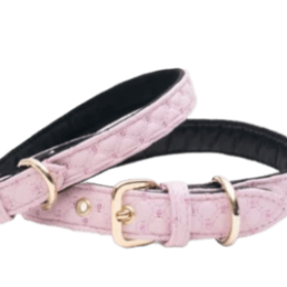 Sparkle Collar (size: M)