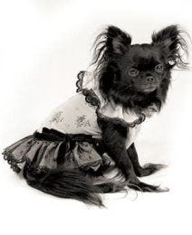 Sweetheart Dress for Dogs (size: L)