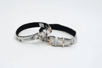 C'est La Vie Collar (size: XS)