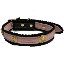 Gasparilla Collar (size: L)