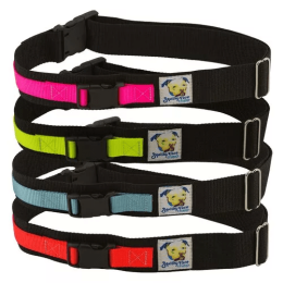 Hands Free Dog Leash Belt (size: Medium-Large)
