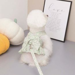 Dog Floral Dress (Color: Green Dress)