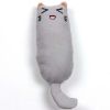pet cat toy catnip chewing wear-resistant