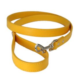 Pet Leash (Color: gold)