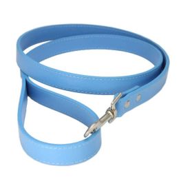 Pet Leash (Color: Blue)