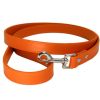 Pet Leash