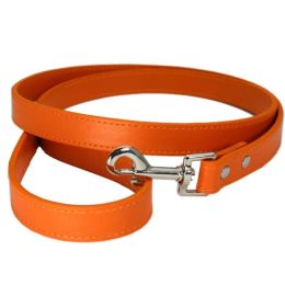 Pet Leash (Color: Orange)
