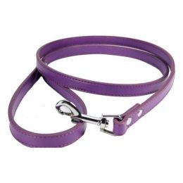 Pet Leash (Color: Purple)