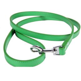 Pet Leash (Color: Green)