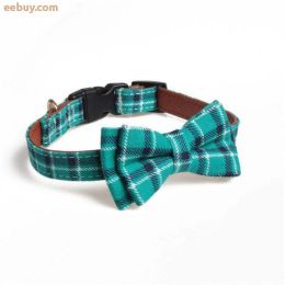 New Dog Collar Set (Color: Teal Collar)