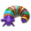 Plastic Funny Cat Training Caterpillar Pet Toys