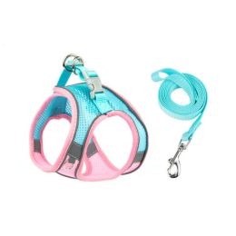 Breathable Puppy Mesh Seat Belt (Color: Powder Blue)