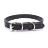alloy buckle pet dog collar