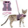 cat vest outdoor leash