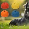 dog toy leaking ball