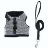 cat vest outdoor leash